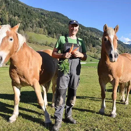 Farm stay Bio Bauernhof Hintermanngutl
