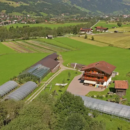 Bio Bauernhof Hintermanngutl Farm stay Gadaunern