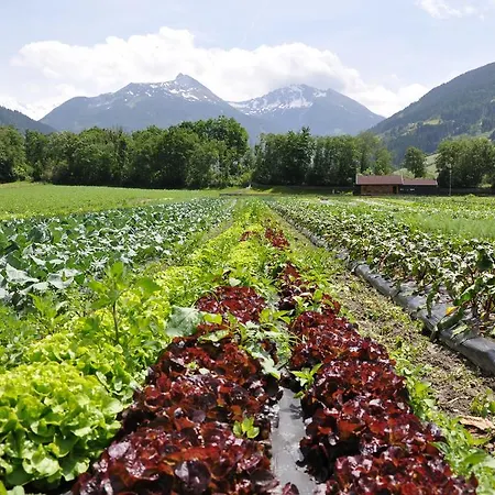 Farm stay Bio Bauernhof Hintermanngutl *