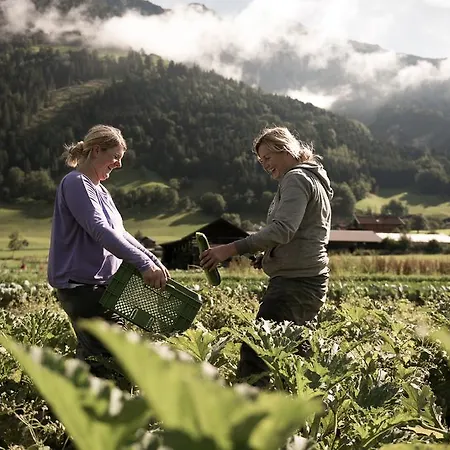 Farmház Bio Bauernhof Hintermanngutl Gadaunern
